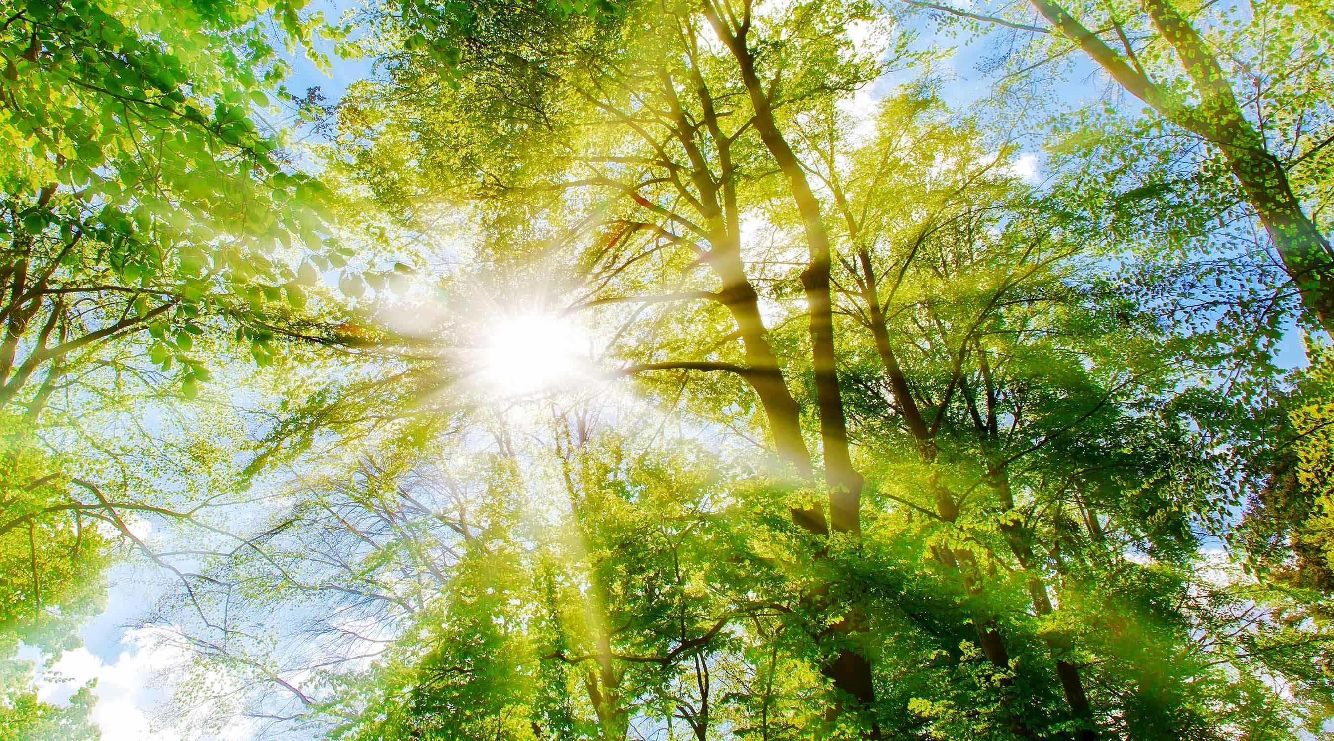 «Möge die Sonne immer auf deinem Weg scheinen. Möge dein Herz immer federleicht sein. Und mögen deine Sorgen immer ganz schnell wie weggeblasen sein.»
